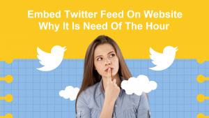 Embed Twitter Feed on Website Why It Is Need Of The Hour