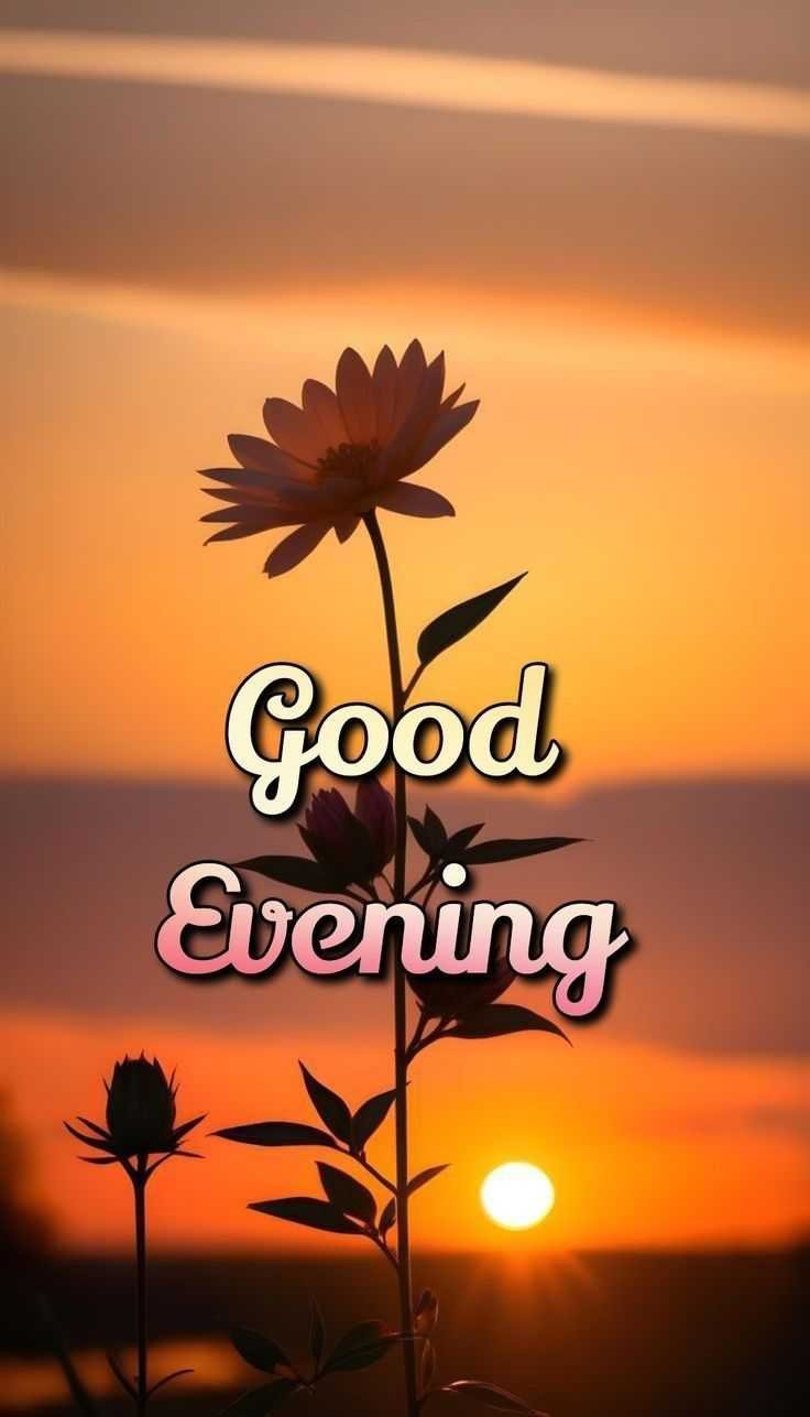 Good Evening main image 0