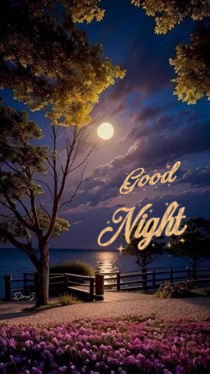 [1122+] HD Good Night Images, Photos & Pics - Download Now - BuzzFreek