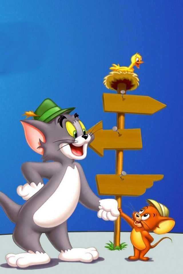 Tom And Jerry Dp