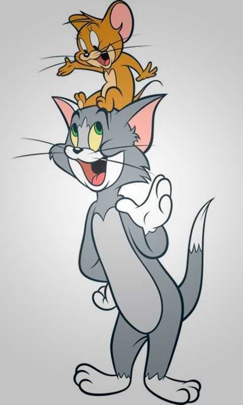 Tom And Jerry Dp