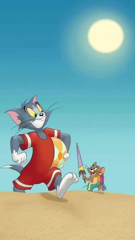 Tom And Jerry Dp