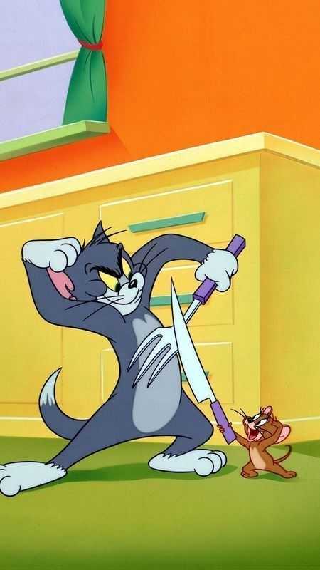 Tom And Jerry Dp