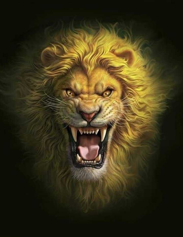 lion dp