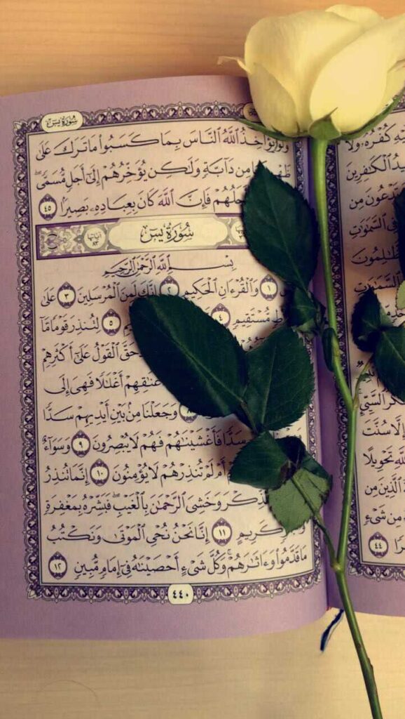Quran DP