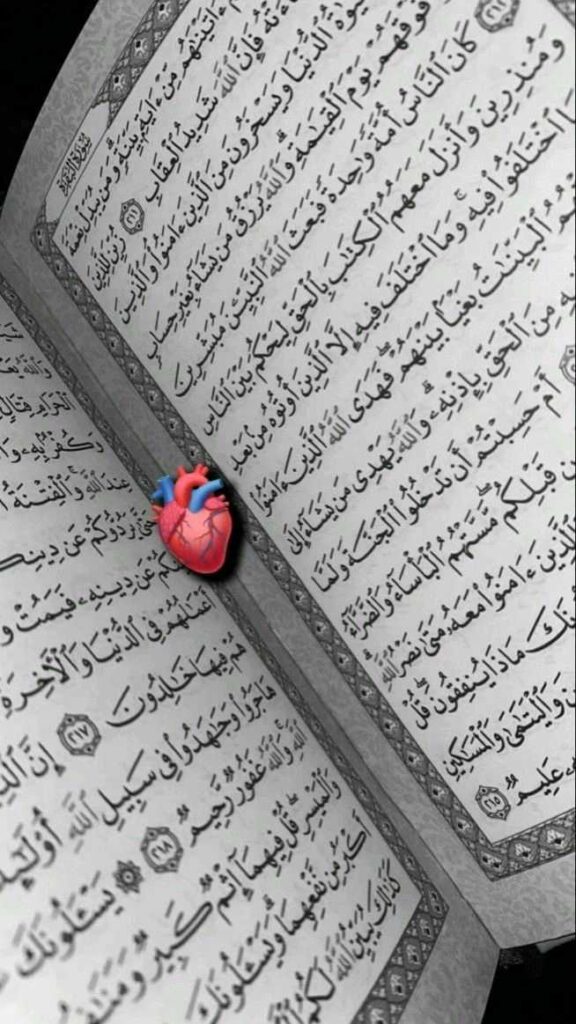 Quran DP