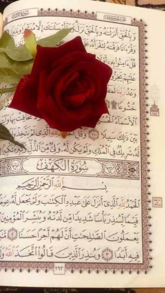 Quran DP