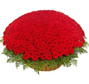 Give Some Exquisite Collections Of Flower Delivery Delhi